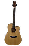 Guitar 4 LoT Overflow