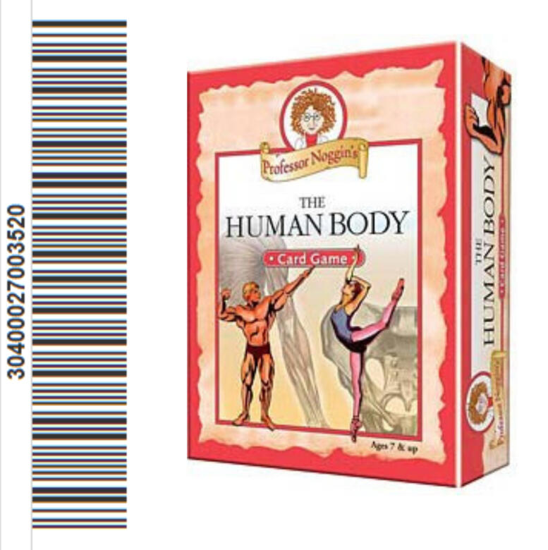 The Human Body Game Cupboard 3 Bottom